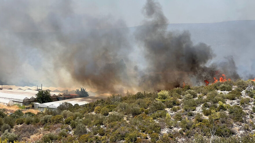Φωτιά στην Αττική: Καίγονται τα φυτώρια του Μαραθώνα, στα 150 μέτρα από τα σπίτια οι φλόγες - Δείτε βίντεο και φωτογραφίες