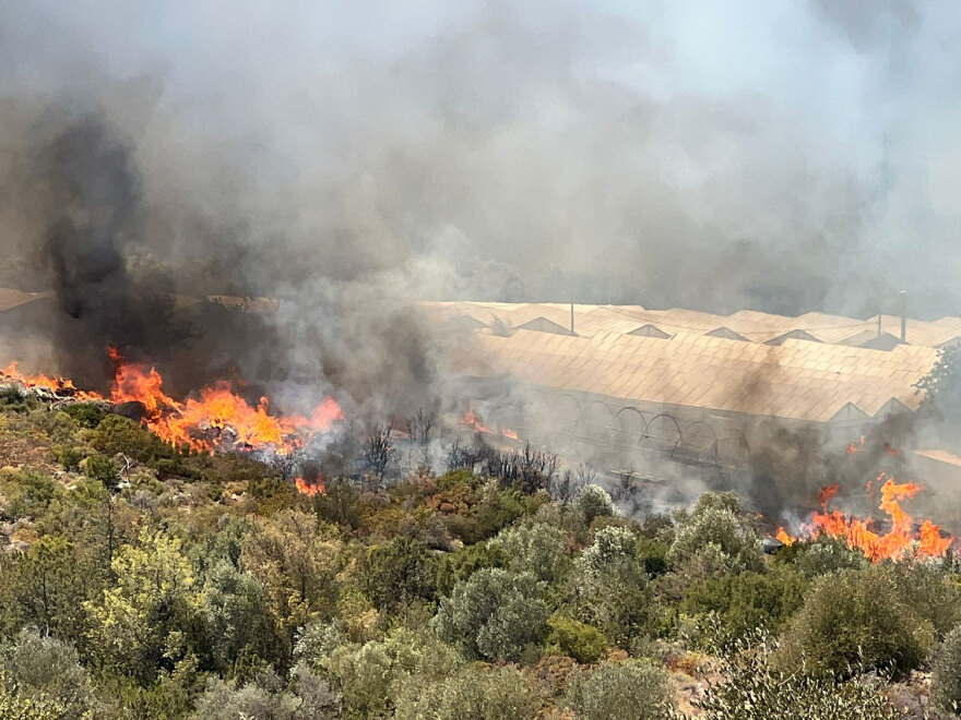 Φωτιά στην Αττική: Καίγονται τα φυτώρια του Μαραθώνα, στα 150 μέτρα από τα σπίτια οι φλόγες - Δείτε βίντεο και φωτογραφίες
