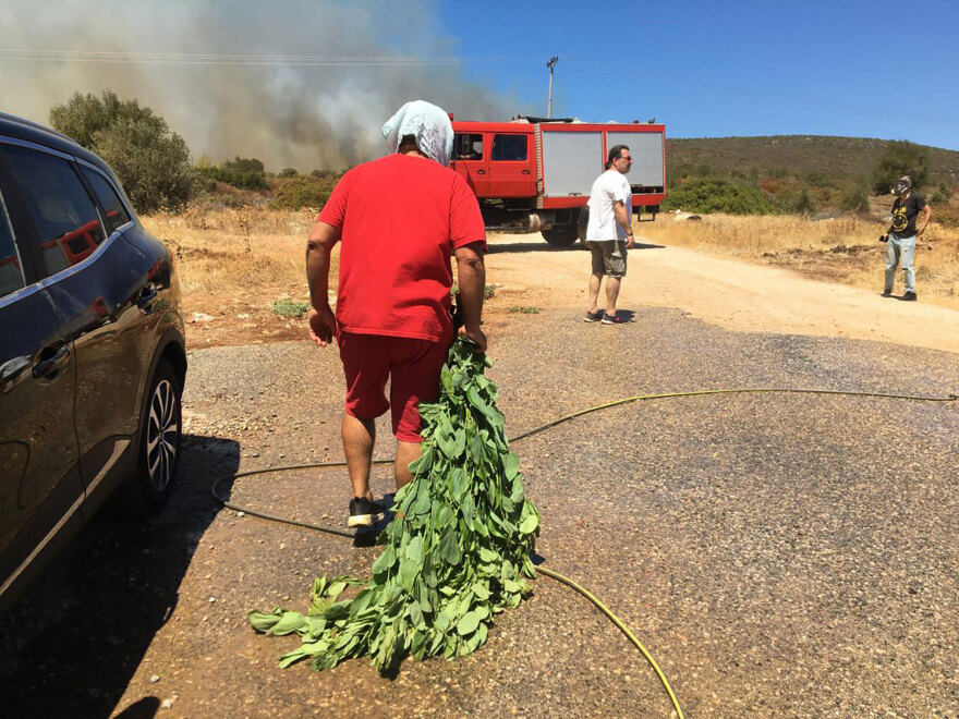 Φωτιά στην Αττική: Καίγονται τα φυτώρια του Μαραθώνα, στα 150 μέτρα από τα σπίτια οι φλόγες - Δείτε βίντεο και φωτογραφίες
