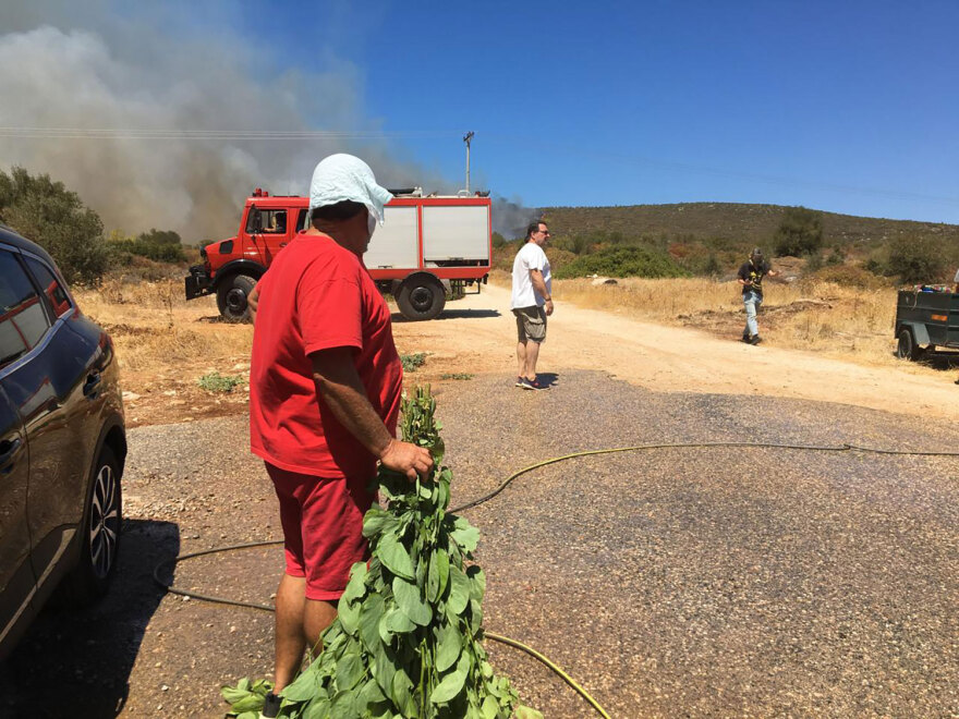 Φωτιά στην Αττική: Καίγονται τα φυτώρια του Μαραθώνα, στα 150 μέτρα από τα σπίτια οι φλόγες - Δείτε βίντεο και φωτογραφίες