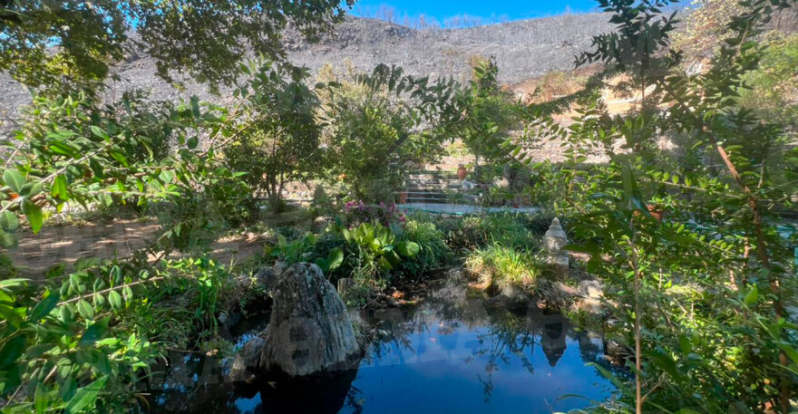 Φωτιά στην Αττική: Στις φλόγες παραδόθηκαν σπίτια, από θαύμα γλίτωσε το ησυχαστήριο του Θανάση Ευθυμιάδη