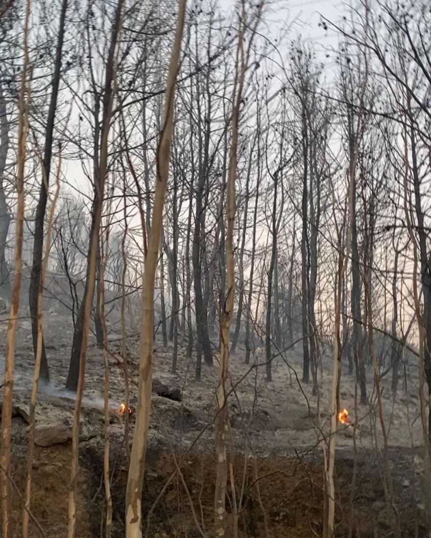 Αθηναΐς Νέγκα: Κινδύνευσε από τη φωτιά το σπίτι της - Σβήναμε τις εστίες με μπουκάλια εμφιαλωμένου νερού, γράφει