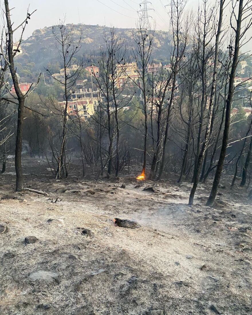 Αθηναΐς Νέγκα: Κινδύνευσε από τη φωτιά το σπίτι της - Σβήναμε τις εστίες με μπουκάλια εμφιαλωμένου νερού, γράφει