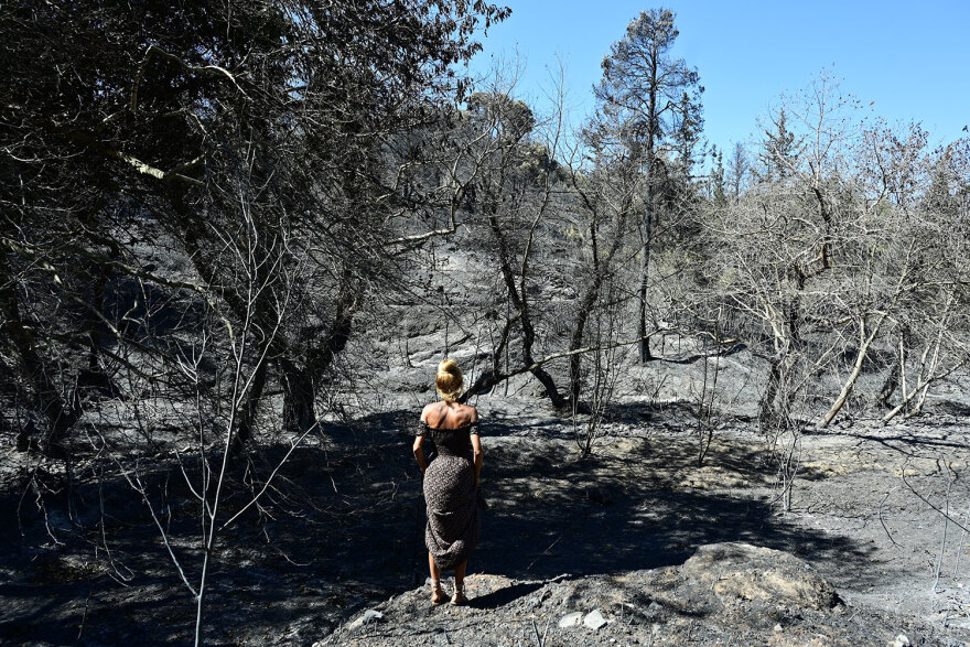 Φωτιά στην Αττική: Ο αγώνας της επόμενης μέρας για την αποκατάσταση στην Πεντέλη - Δείτε βίντεο και φωτογραφίες