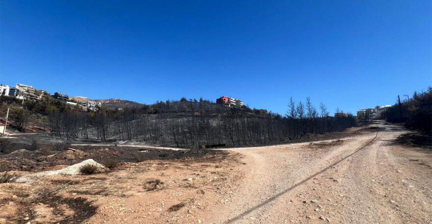 Φωτιά στην Αττική: Ο αγώνας της επόμενης μέρας για την αποκατάσταση στην Πεντέλη - Δείτε βίντεο και φωτογραφίες