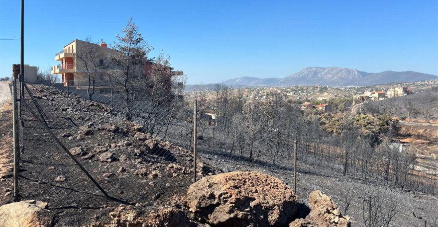 Φωτιά στην Αττική: Ο αγώνας της επόμενης μέρας για την αποκατάσταση στην Πεντέλη - Δείτε βίντεο και φωτογραφίες