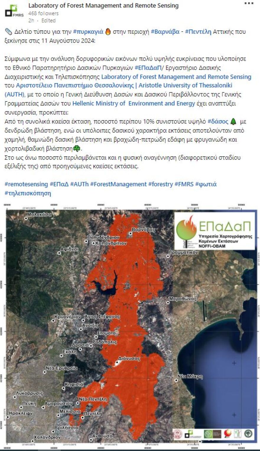 Φωτιά στην Αττική - ΕΠαΔαΠ: Κάηκε περίπου 10% υψηλού δάσους 