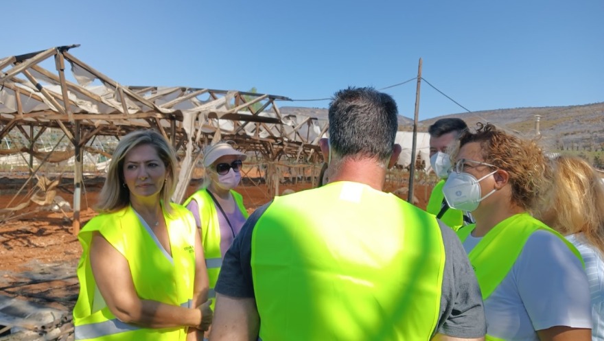 Περιφέρεια Αττικής: Αυτοψία σε επιχειρήσεις που υπέστησαν ζημιές από την φωτιά