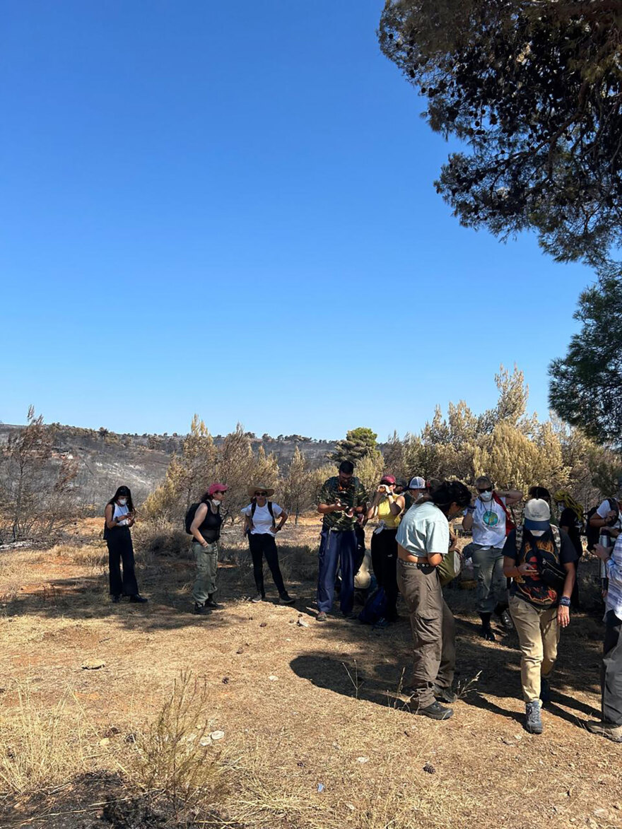 Διασώσεις ζώων στο καμένο δάσος του Βαρνάβα - «Είναι λίγο να σώσεις μόνο μία χελώνα;»