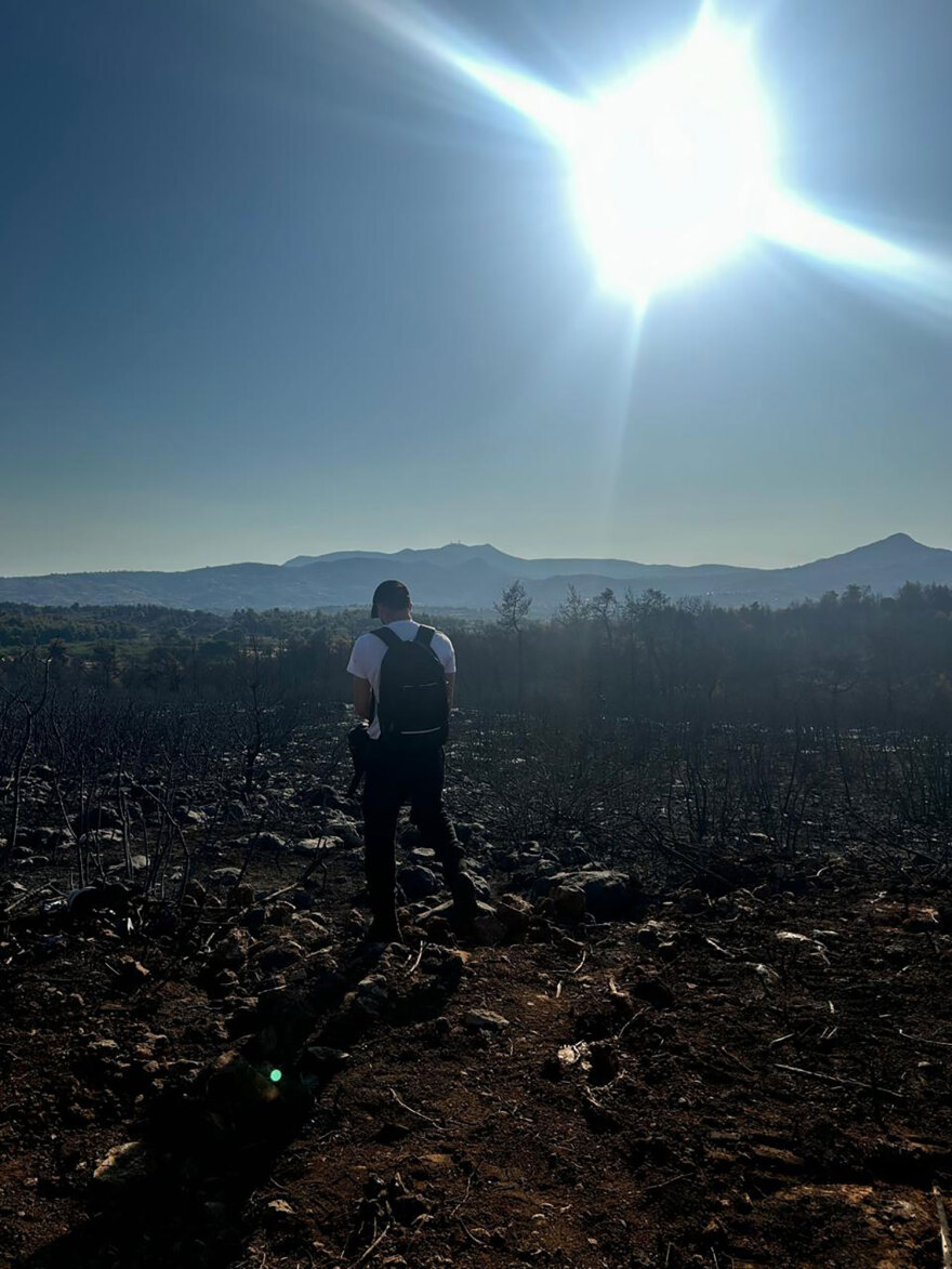 Διασώσεις ζώων στο καμένο δάσος του Βαρνάβα - «Είναι λίγο να σώσεις μόνο μία χελώνα;»