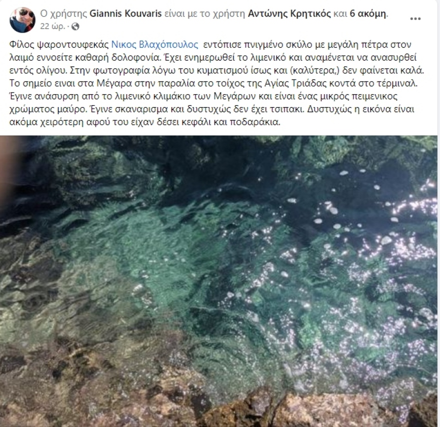 Μέγαρα: Ψαροντουφεκάς εντόπισε πνιγμένο σκύλο που τον είχαν δέσει και του έβαλαν μεγάλη πέτρα στον λαιμό