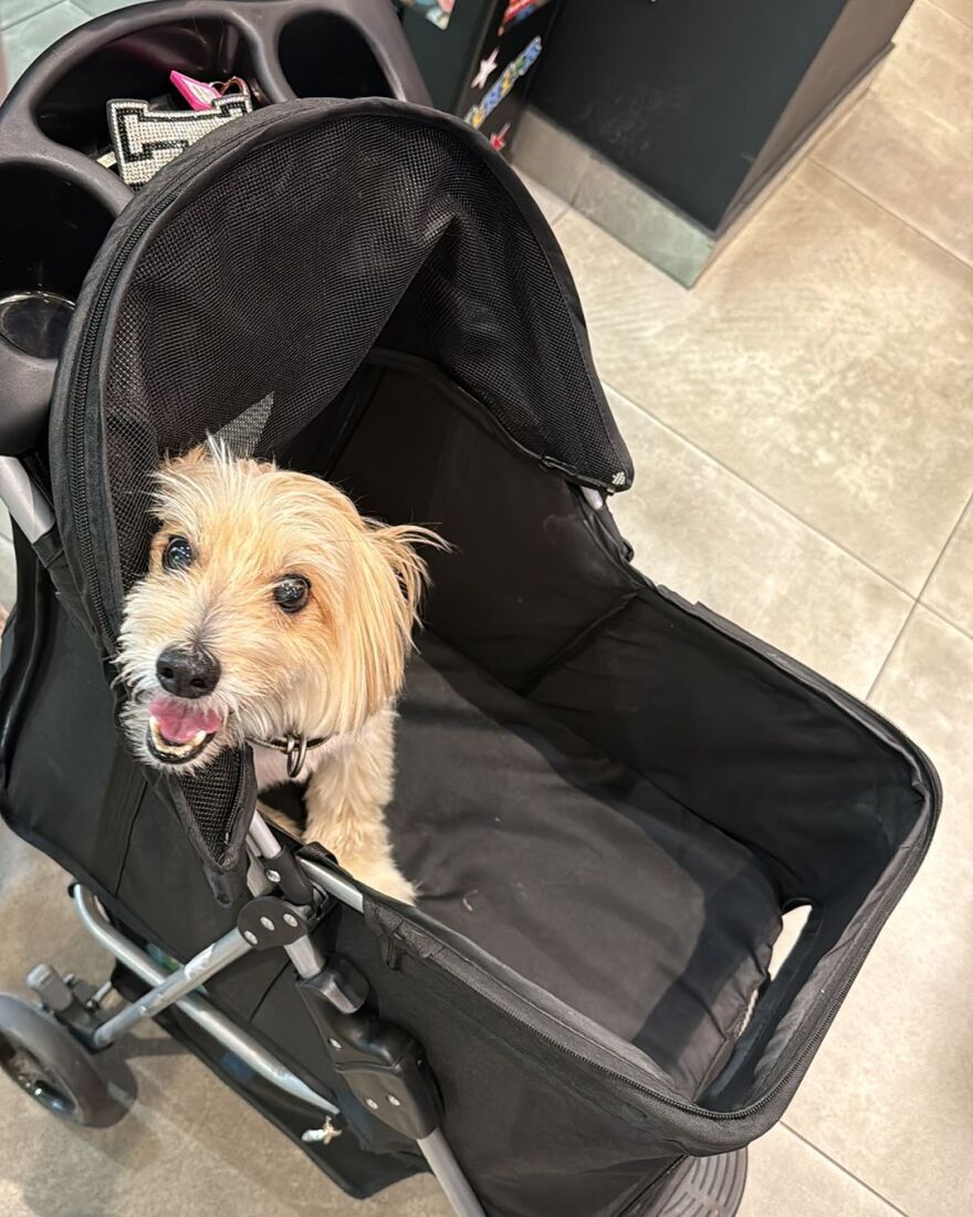 Ζόζεφιν: Απολαμβάνει τις διακοπές της με τον Νίνο - Το στιγμιότυπο με φόντο το ηλιοβασίλεμα