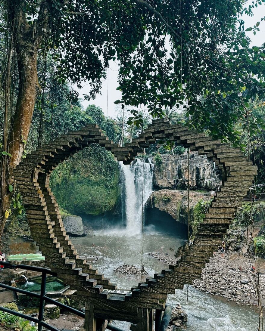 Ντορέττα Παπαδημητρίου: Πλένει έναν ελέφαντα στο Μπαλί - Δείτε βίντεο