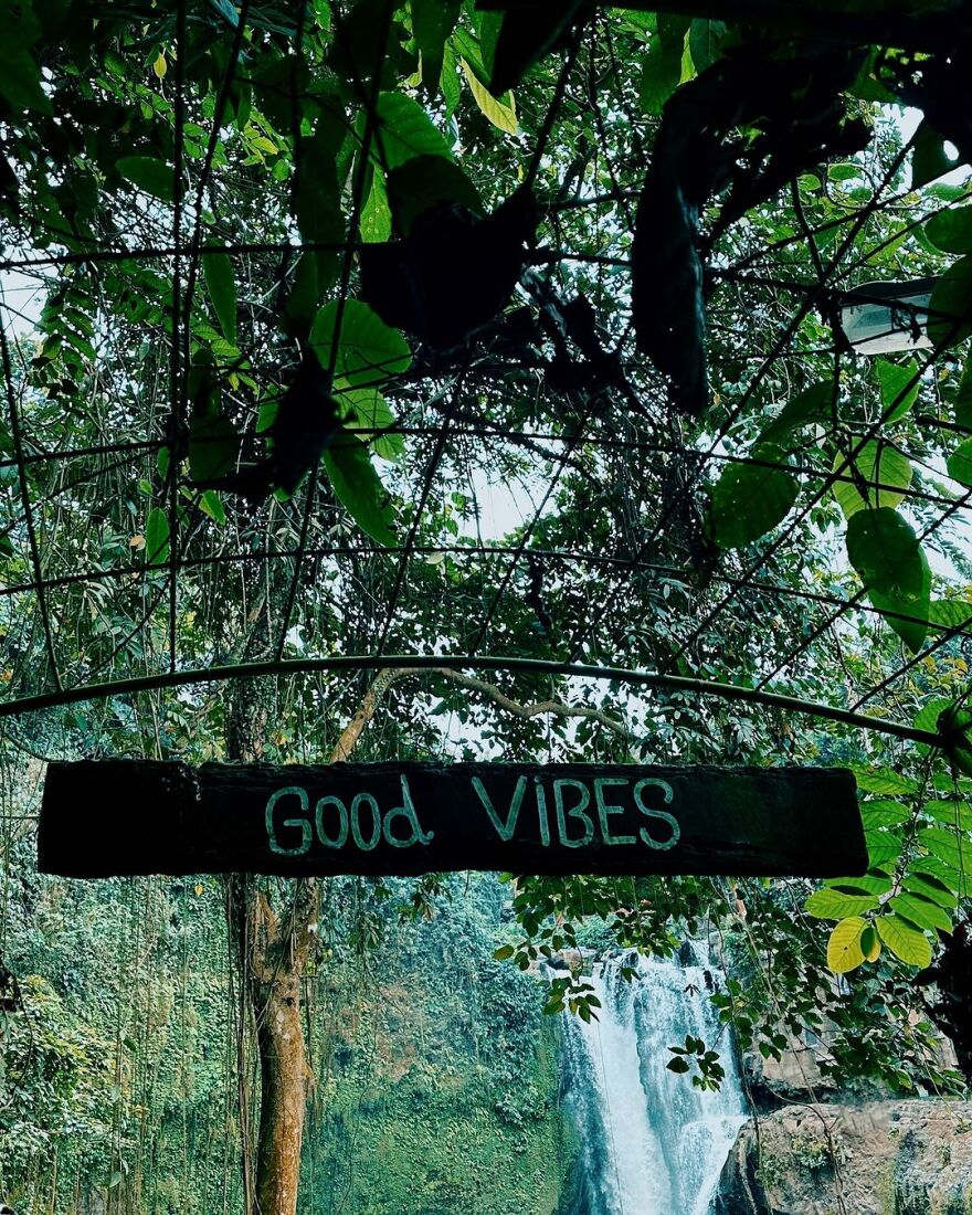 Ντορέττα Παπαδημητρίου: Πλένει έναν ελέφαντα στο Μπαλί - Δείτε βίντεο