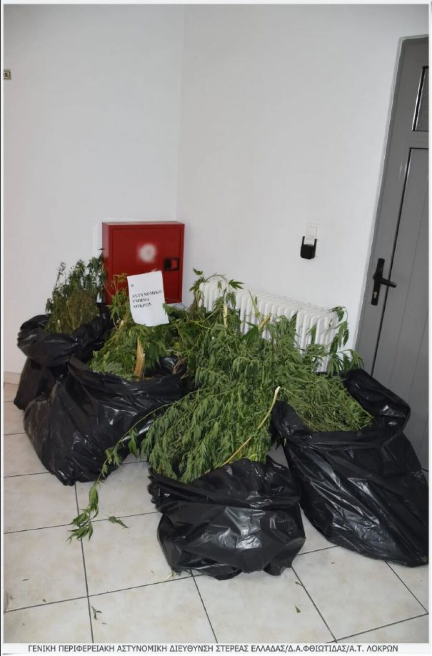 Φθιώτιδα: Έκρυβε χασισοφυτεία και 2,5 κιλά κάνναβης σε ακατοίκητο σπίτι