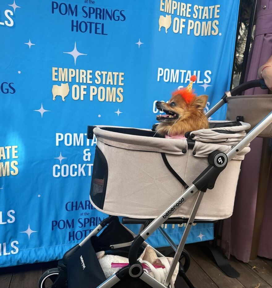 Κέιτ Μπέκινσεϊλ: Η αλλαγή που έκανε στην εμφάνισή της