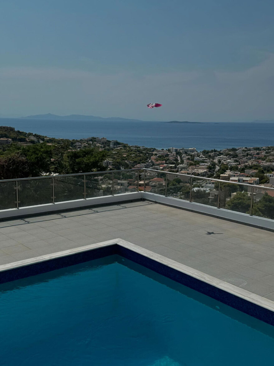 Σπάνια εμφάνιση εξωτικού  περιστεριού στη Σαρωνίδα -  Δείτε φωτογραφίες 