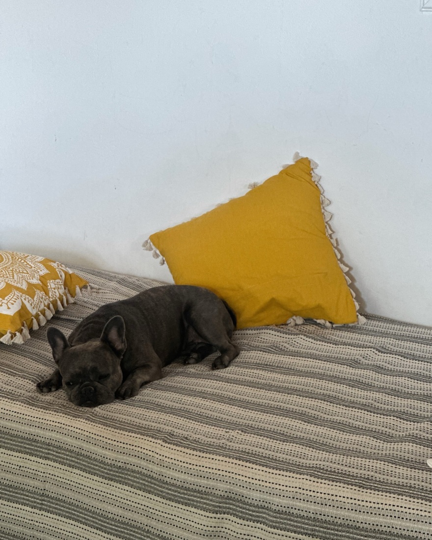 Δανάη Μπάρκα: Το κατακόρυφό της από τη Σέριφο