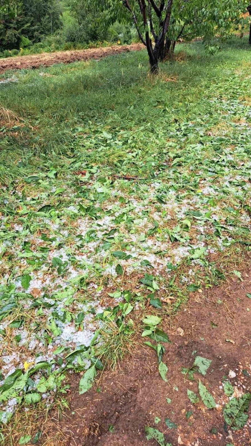 Καιρός: Βροχές τοπικά σε Κρήτη, ηπειρωτικά και Ιόνιο τις επόμενες ώρες - 7 μποφόρ μέχρι και την Κυριακή στο Αιγαίο 