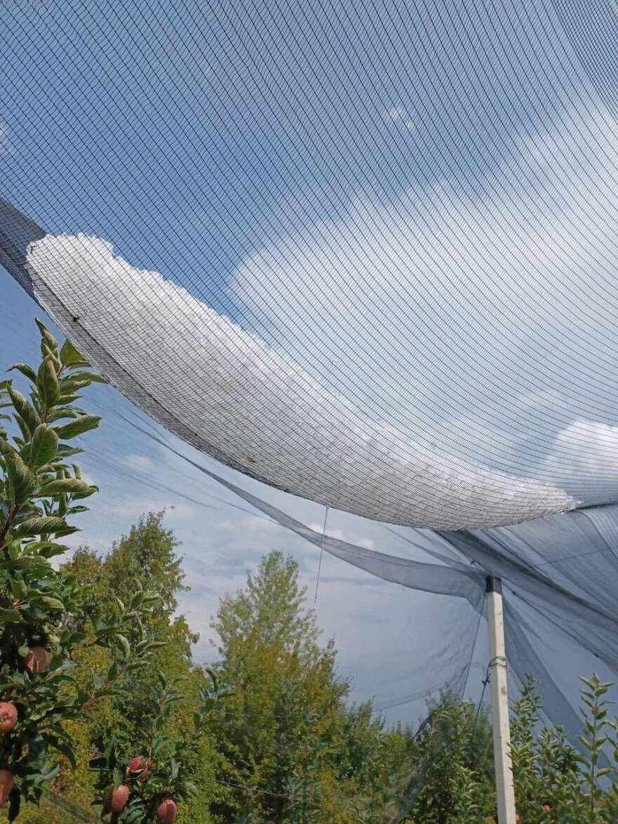 Καιρός: Βροχές τοπικά σε Κρήτη, ηπειρωτικά και Ιόνιο τις επόμενες ώρες - 7 μποφόρ μέχρι και την Κυριακή στο Αιγαίο 