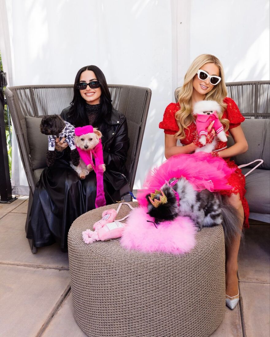 Πάρις Χίλτον για Ντέμι Λοβάτο: Είμαι τόσο τυχερή που έχω μια τόσο ξεχωριστή φίλη στη ζωή μου 