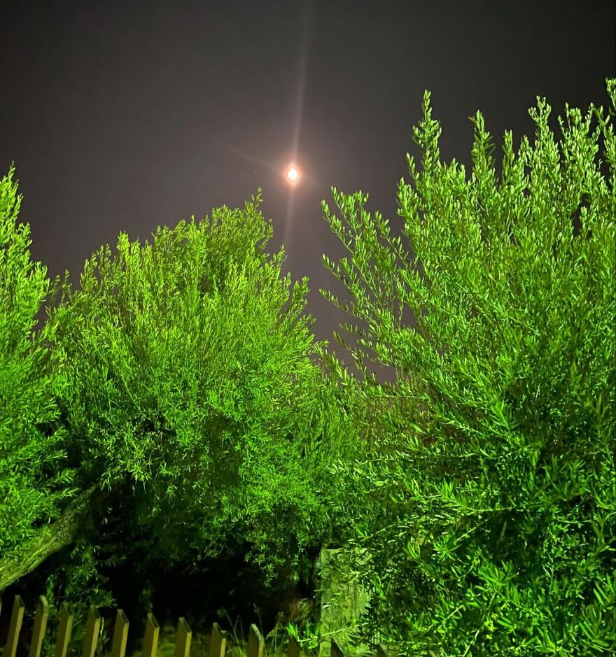 Ζέτα Δούκα: Ενθουσιάστηκε με το Λεωνίδιο - Η παράκληση που έκανε στον δήμαρχο