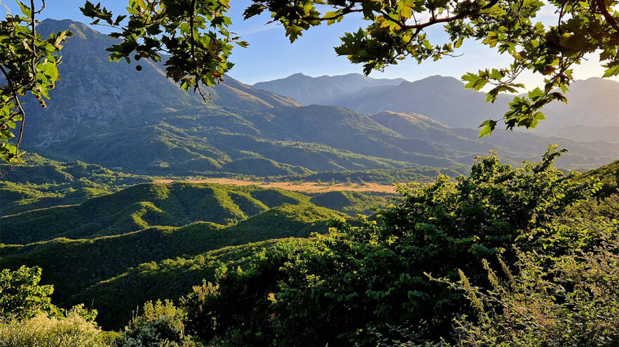 Το Πωγώνι ξαναζωντάνεψε; Για πόσο όμως;