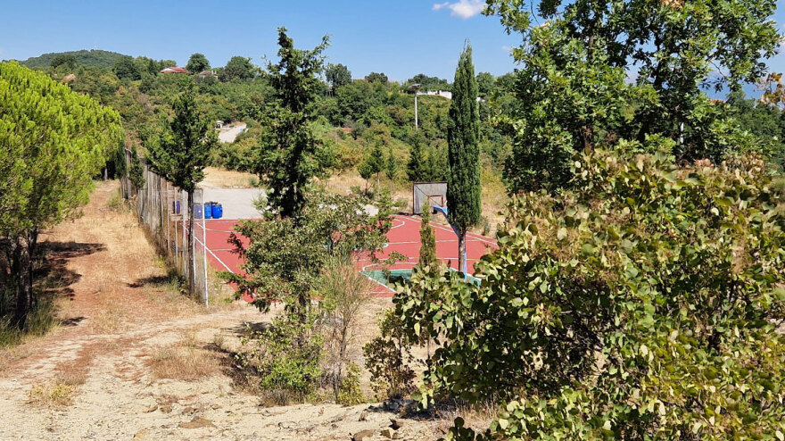 Το Πωγώνι ξαναζωντάνεψε; Για πόσο όμως;