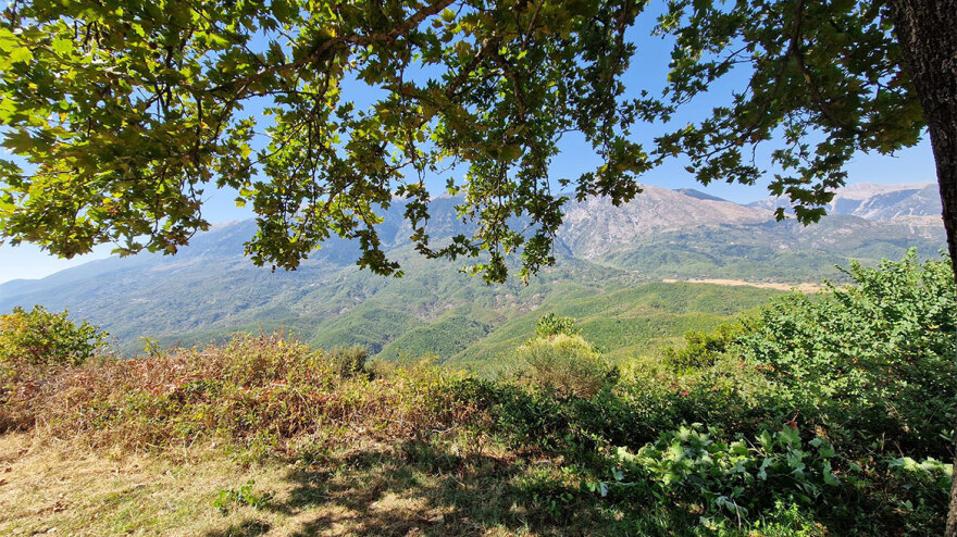Το Πωγώνι ξαναζωντάνεψε; Για πόσο όμως;