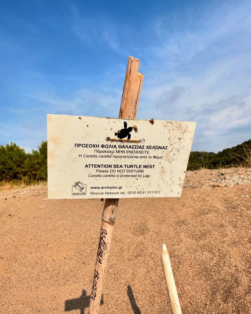 Αποστολία Ζώη: Ποζάρει ξαπλωμένη στην παραλία στις διακοπές της 