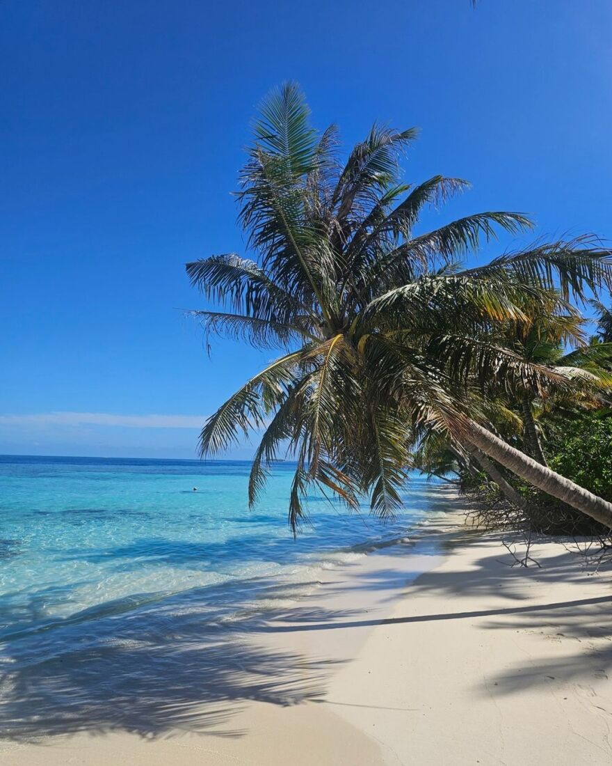Έλενα Ασημακοπούλου: Στις Μαλδίβες με την κόρη της - Δείτε φωτογραφίες 