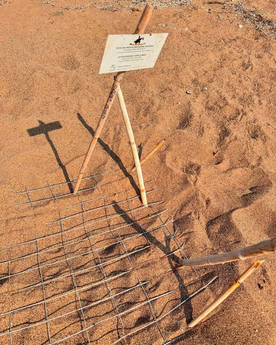 Αποστολία Ζώη: Ποζάρει ξαπλωμένη στην παραλία στις διακοπές της 