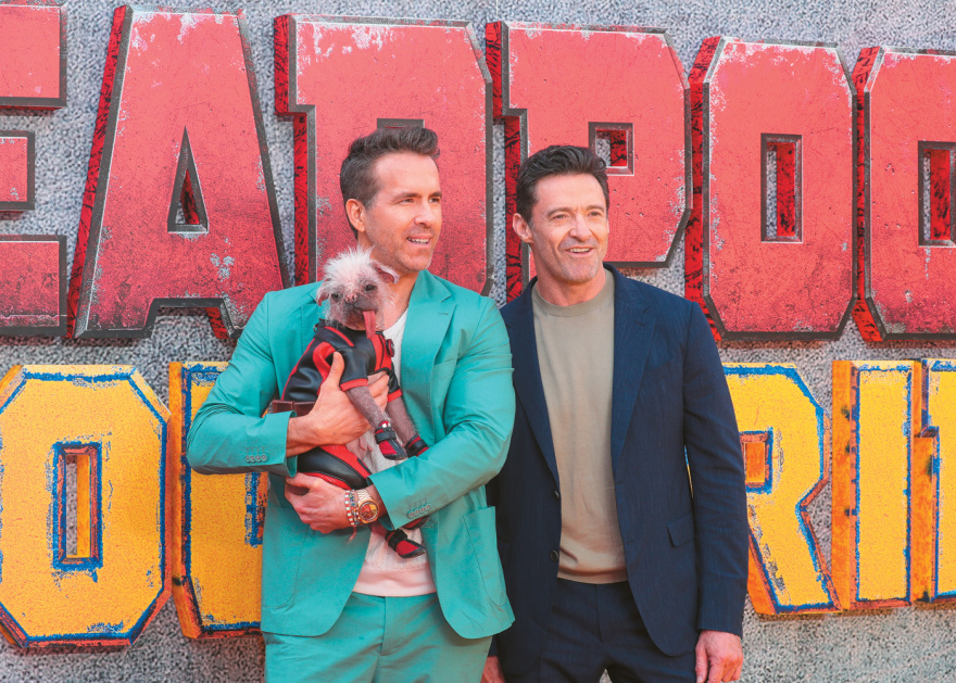 Η Peggy,  το «ασχημότερο» σκυλί της Βρετανίας που κατέκτησε το Χόλιγουντ