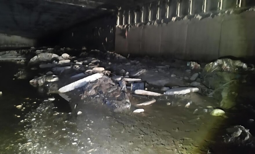 Χαρδαλιάς: Για πρώτη φορά μετά από δεκαετίες καθαρίζονται όλα τα υπόγεια τμήματα του Κηφισού