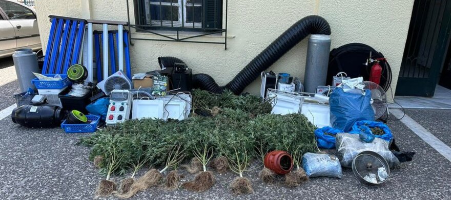 Κολωνός: Εντοπίστηκε εργαστήριο κάνναβης με 30 δενδρύλλια που έφταναν το 1,5 μέτρο