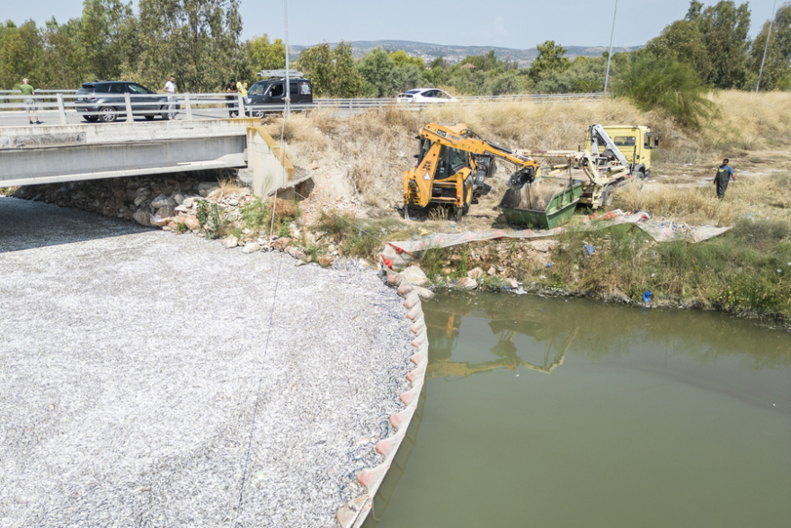 Απέραντη θάλασσα από νεκρά ψάρια στον Βόλο - Μαζεύτηκαν πάνω από 57 τόνοι, δείτε φωτογραφίες