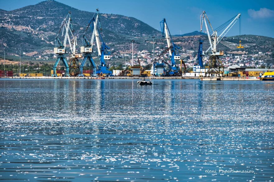 Βόλος: Με ειδικό πλοίο η περισυλλογή των νεκρών ψαριών στον Παγασητικό