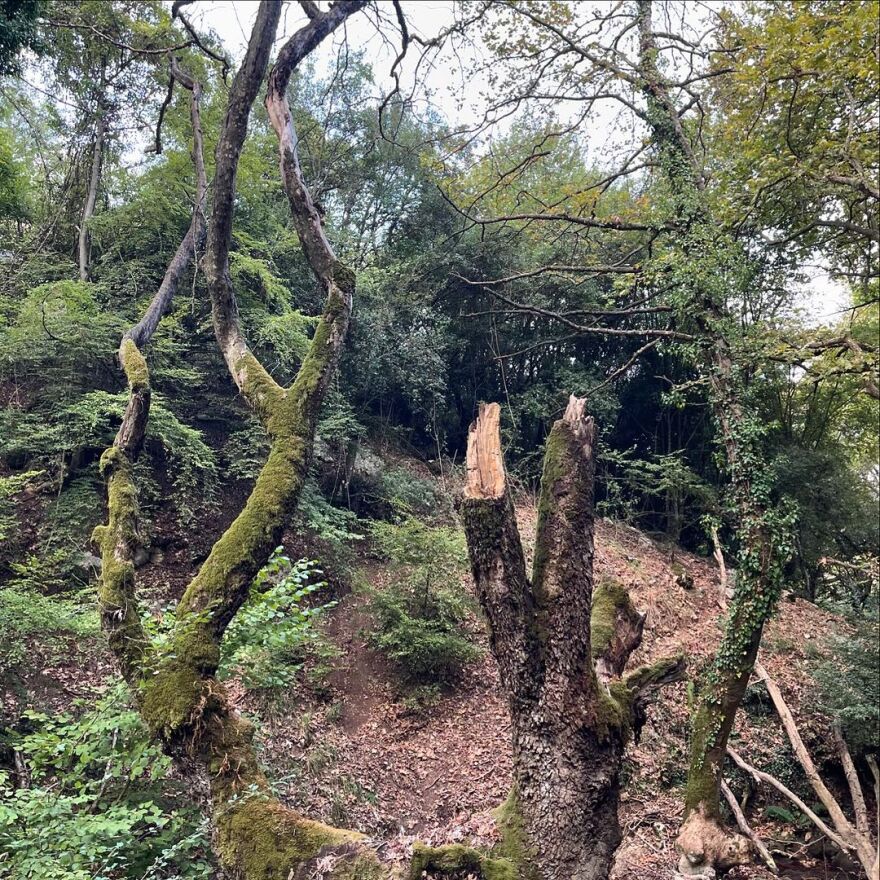 Ζέτα Δούκα: Η ηθοποιός βούτηξε στα παγωμένα νερά του Κεφαλοπόταμου