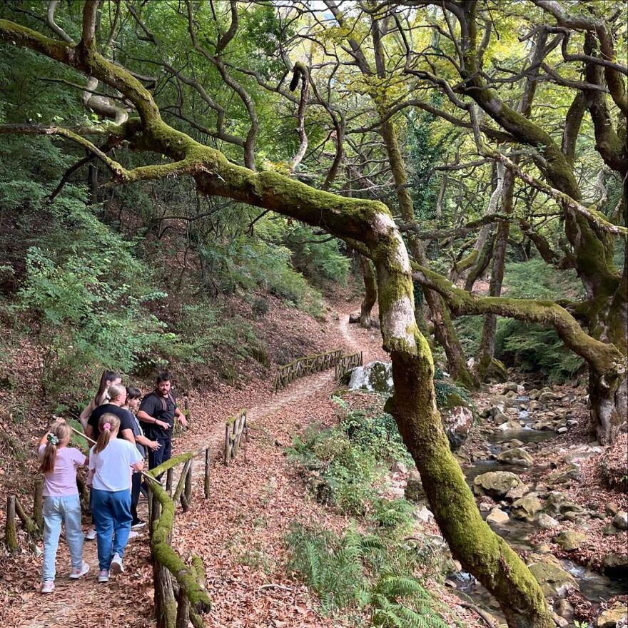 Ζέτα Δούκα: Η ηθοποιός βούτηξε στα παγωμένα νερά του Κεφαλοπόταμου