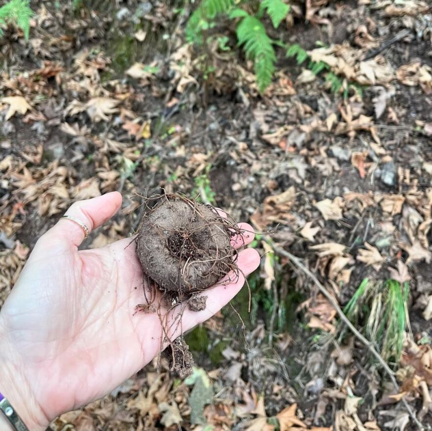 Ζέτα Δούκα: Η ηθοποιός βούτηξε στα παγωμένα νερά του Κεφαλοπόταμου