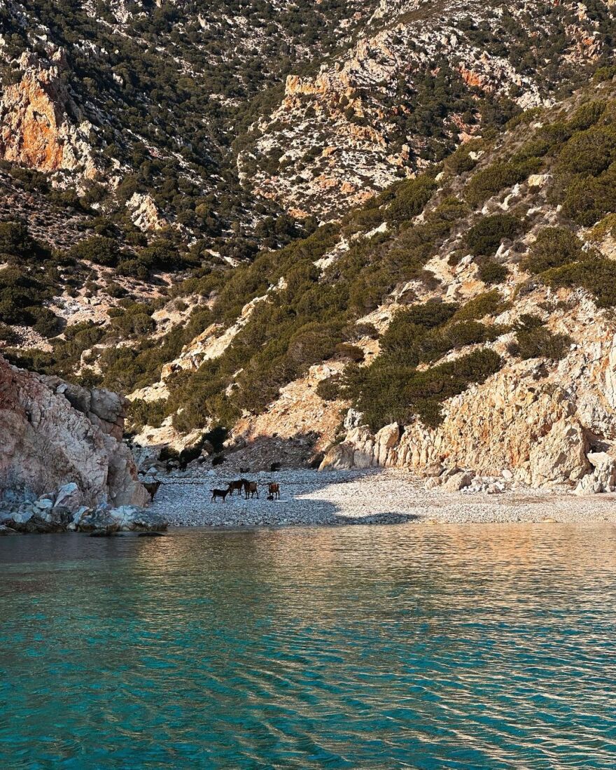 Δανάη Μπάρκα: Κολυμπάει στα καταπράσινα νερά των Κυκλάδων