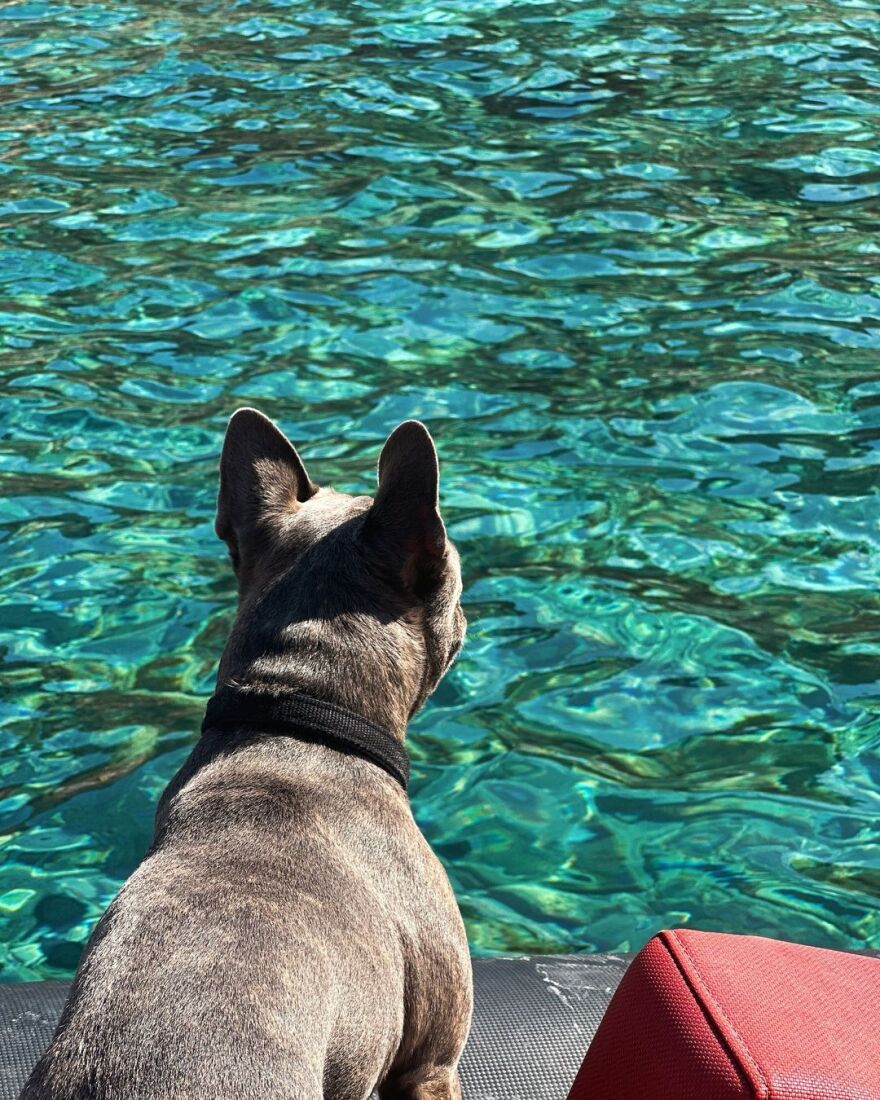 Δανάη Μπάρκα: Κολυμπάει στα καταπράσινα νερά των Κυκλάδων