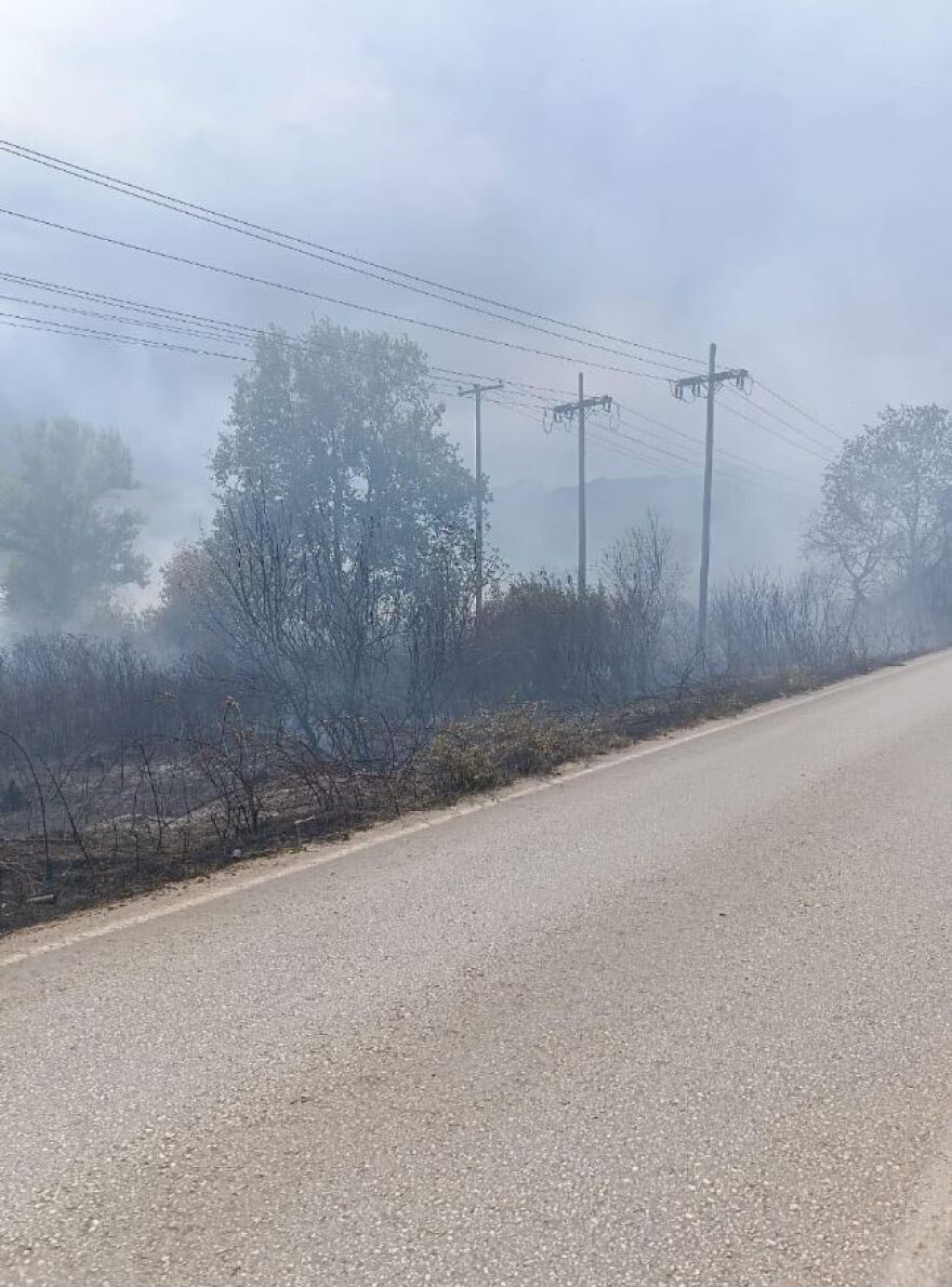 Οριοθετήθηκε η φωτιά που ξέσπασε από κεραυνό έξω από την Καλαμπάκα - Δείτε φωτογραφίες