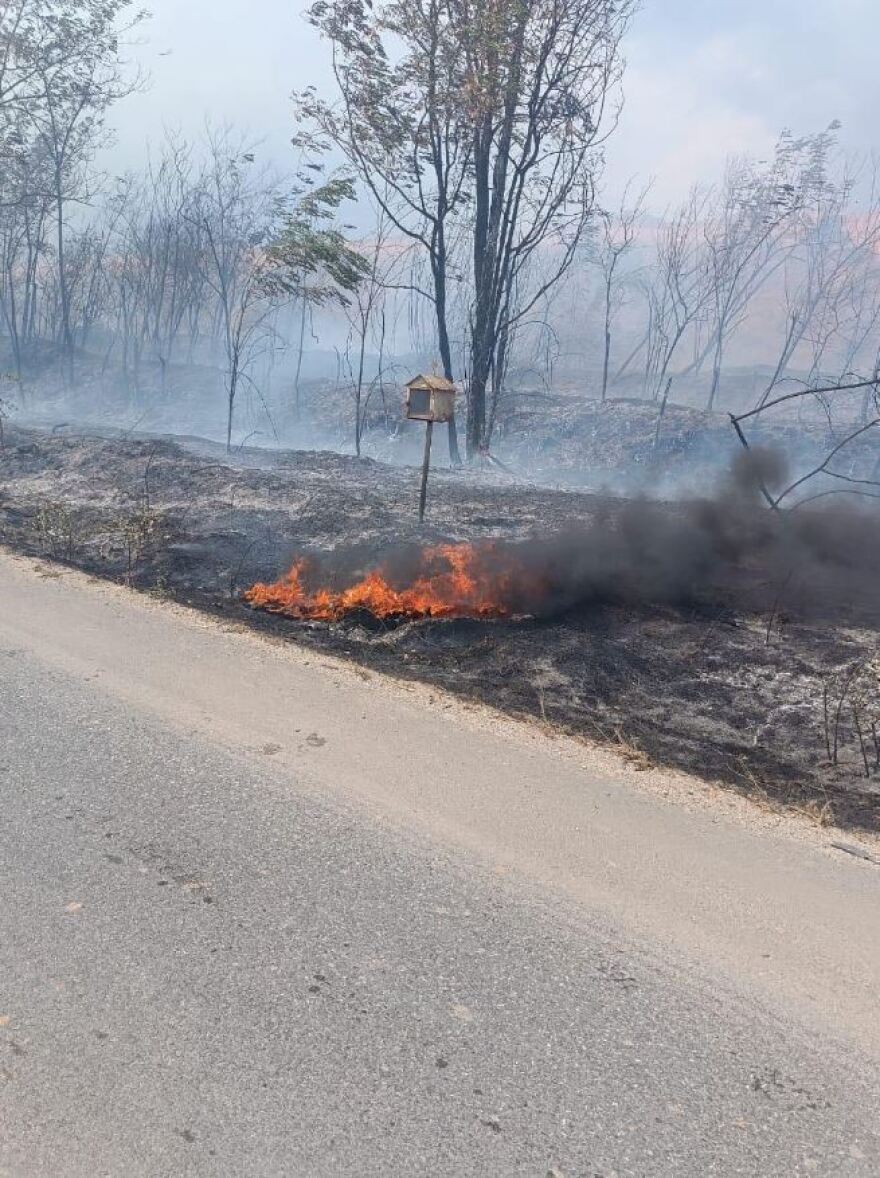 Οριοθετήθηκε η φωτιά που ξέσπασε από κεραυνό έξω από την Καλαμπάκα - Δείτε φωτογραφίες