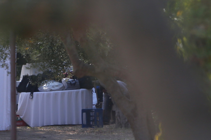 Στέφανος Κασσελάκης: Σήμερα η τελετή του γάμου με τον Τάιλερ - Το μενού της δεξίωσης και το πάρτι στο Ακρωτήρι