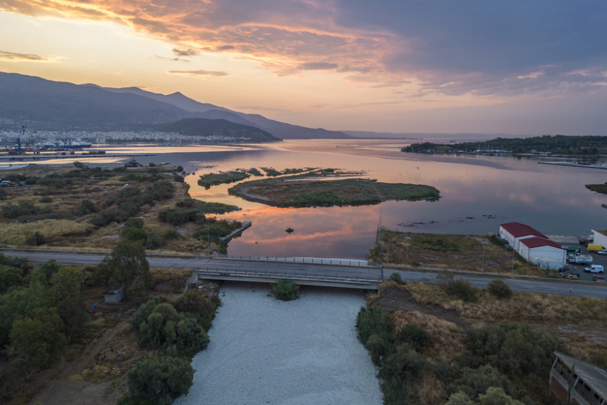 Θεσσαλία: Περιβαλλοντική καταστροφή, λέει καθηγητής του ΑΠΘ για τον Παγασητικό - «Καλύτερα να αποτεφρωθούν τα ψάρια»