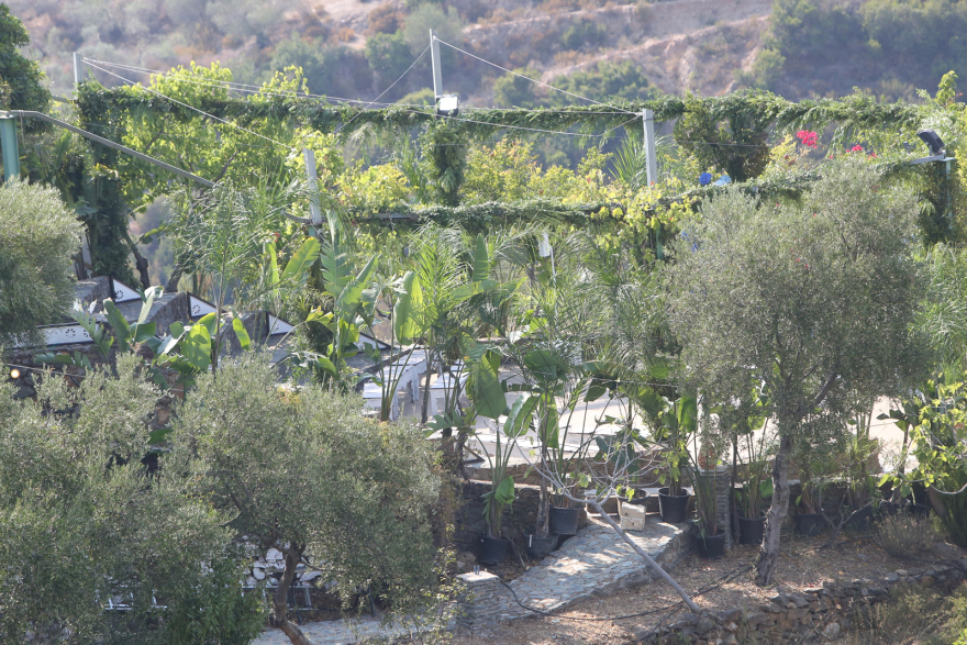 Χανιά: Δύο προσαγωγές για χρήση drone στον γάμο Κασσελάκη