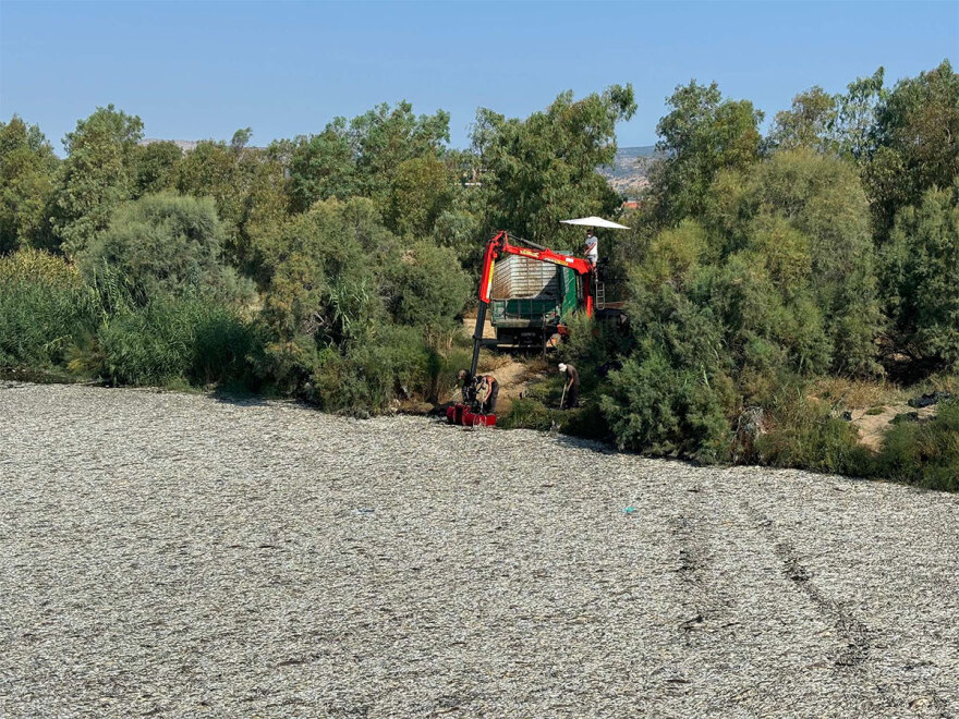 Βόλος: Μπήκε και δεύτερο πλέγμα στον Ξηριά για τη συγκράτηση των νεκρών ψαριών - Δείτε βίντεο από τις εργασίες