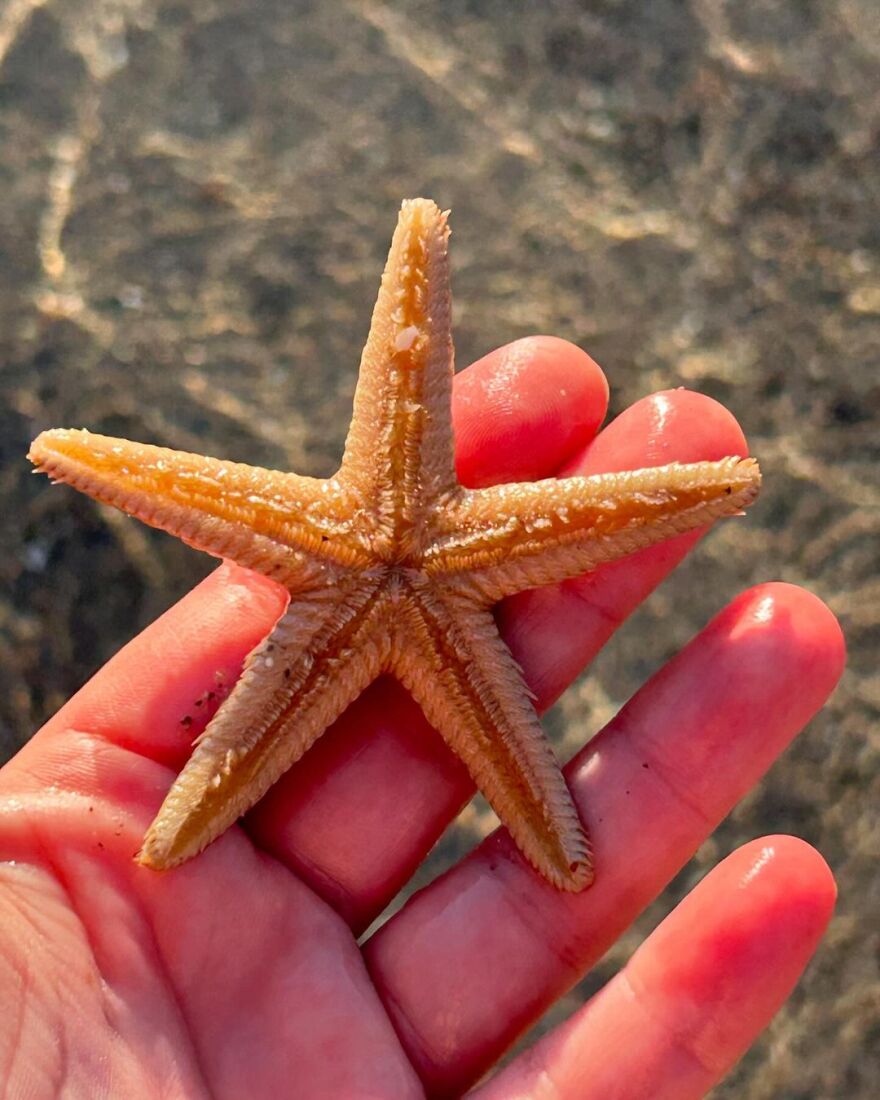 Βέρα Μακρομαρίδου: Η τελευταία ημέρα του καλοκαιριού, γράφει σε ανάρτηση με τον σύζυγό της, Αλέξανδρο Παπατριανταφύλλου