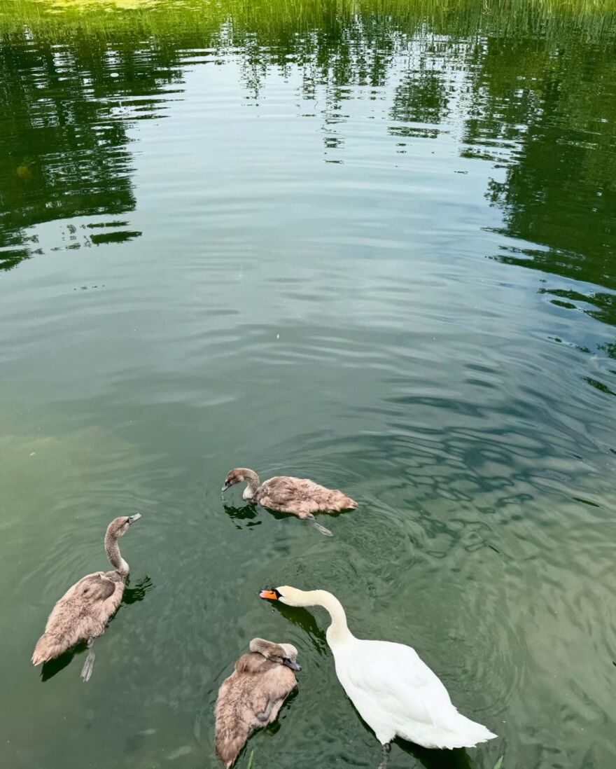 Κόρτνεϊ Καρντάσιαν: Πήγε με τον Τράβις Μπάρκερ για κυνήγι σε αγρόκτημα 